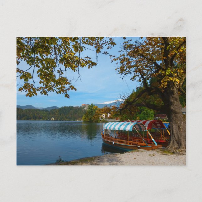 Tourist boats in Lake Bled in autumn Postcard (Front)