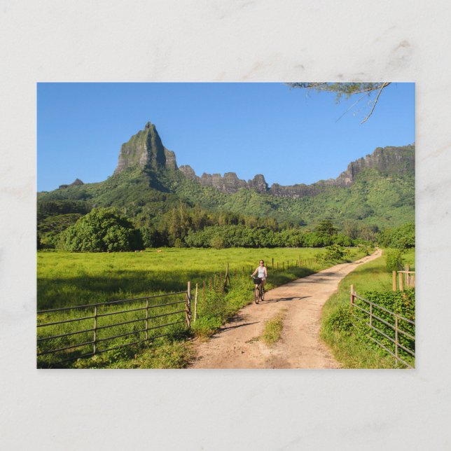 Tourist cycling on tropical Moorea postcard (Front)