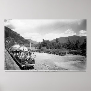 Tourist Train of the Skagit Project Poster