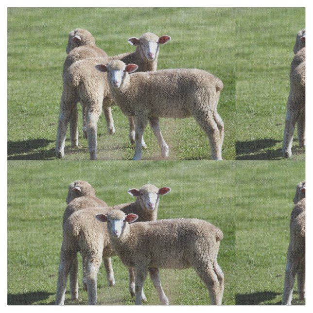 Tourists Fabric (Close Up)