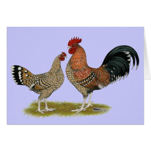 Tournaisis Bantams Cards (Front Horizontal)