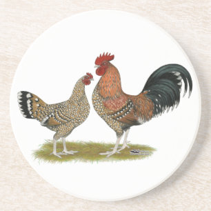 Tournaisis Bantams Drink Coaster