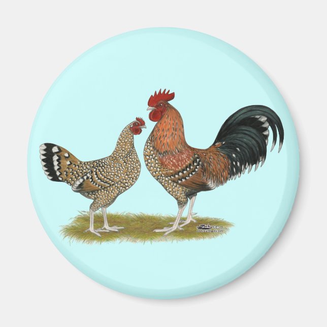 Tournaisis Bantams Magnet (Front)