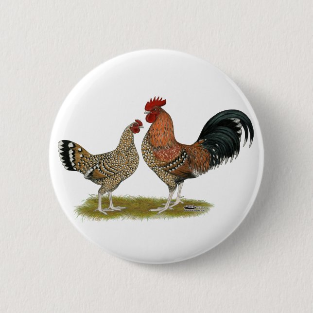 Tournaisis Bantams Pinback Button (Front)