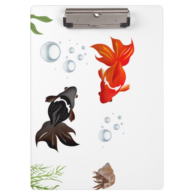 Tow cute koi fish play in water clipboard (Front)