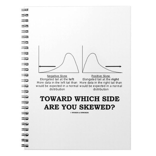 Toward Which Side Are You Skewed? Skewness Stats Notebook (Front)