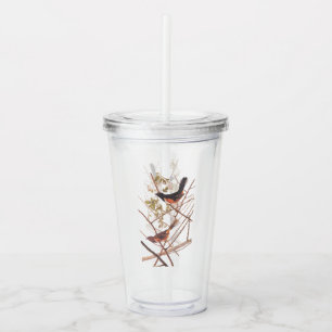 Towee Bunting Audubon Black and Orange Song Birds Acrylic Tumbler
