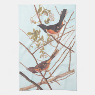 Towee Bunting Audubon Black and Orange Song Birds Kitchen Towel