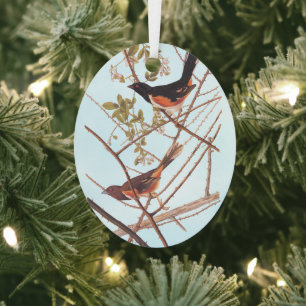 Towee Bunting Audubon Black and Orange Song Birds Metal Ornament