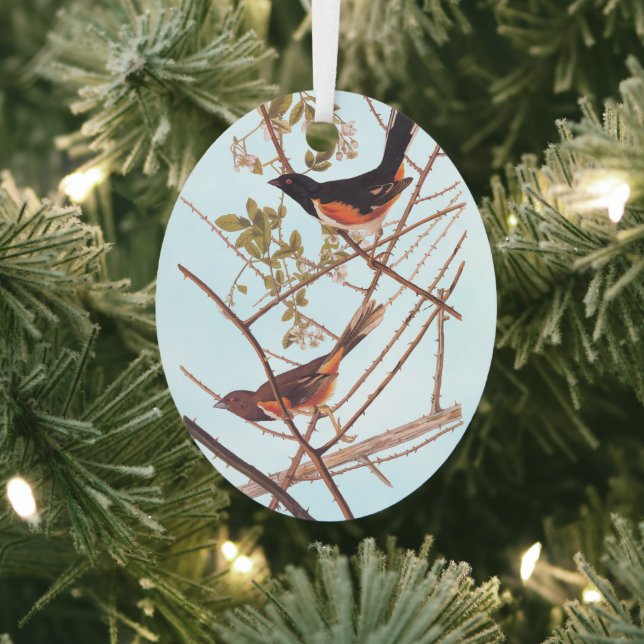 Towee Bunting Audubon Black and Orange Song Birds Metal Ornament (Insitu)