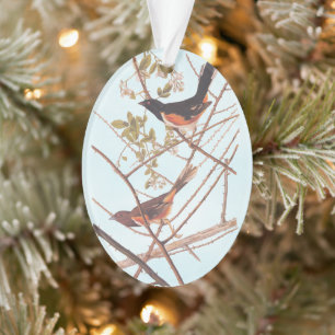 Towee Bunting Audubon Black and Orange Song Birds Ornament