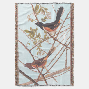 Towee Bunting Audubon Black and Orange Song Birds Throw Blanket