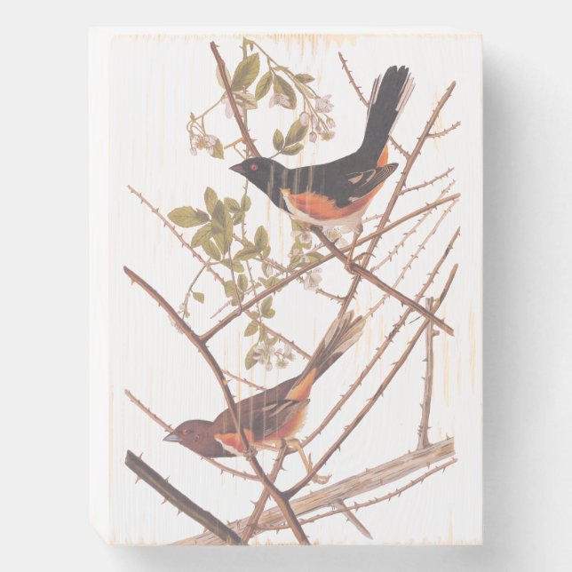 Towee Bunting Audubon Black and Orange Song Birds Wooden Box Sign (Front Vertical)