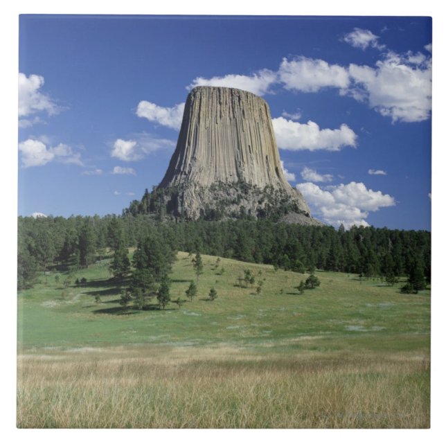 Tower is 1,267 feet. ceramic tile (Front)