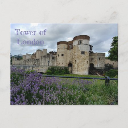 Tower Of London Postcard