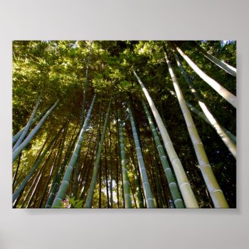 Towering Bamboos Poster by pulsDesign at Zazzle