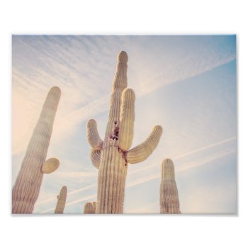 Towering Saguaro Cacti | Photo Print by GaeaPhoto at Zazzle