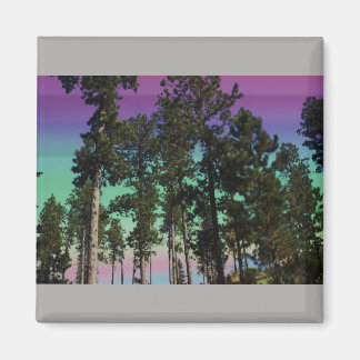 Towering Trees Magnet (Gray Background)