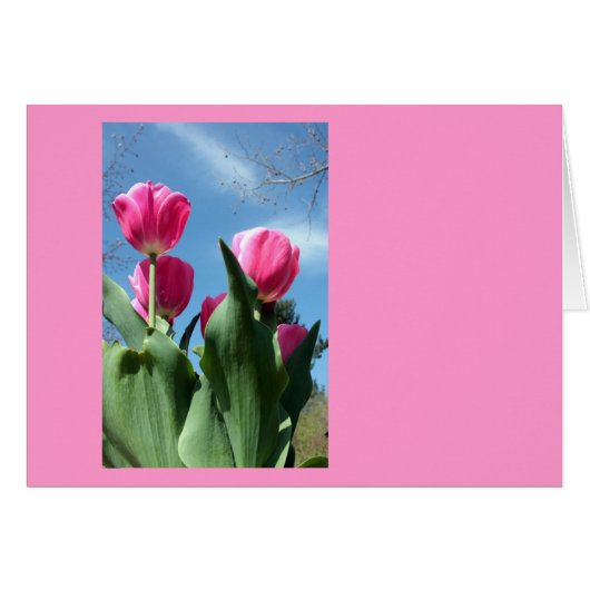 Towering Tulips (Front Horizontal)