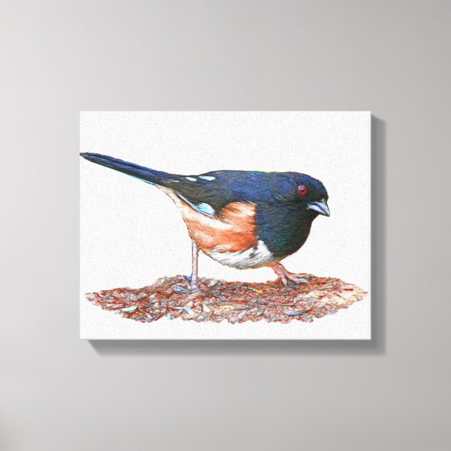 Towhee Canvas Print (Front)