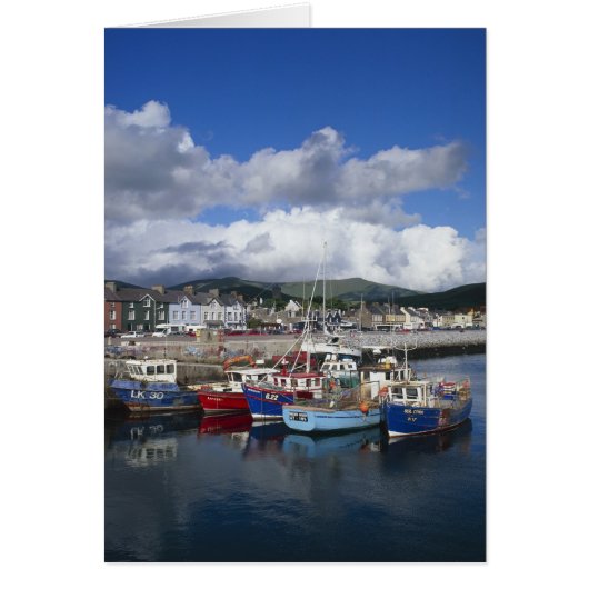 Town and Harbour, Dingle, County Kerry, Cards (Front)