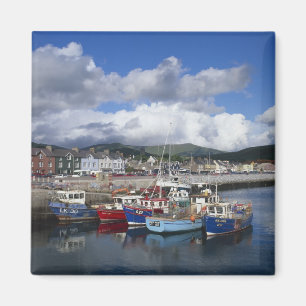 Town and Harbour, Dingle, County Kerry, Magnet