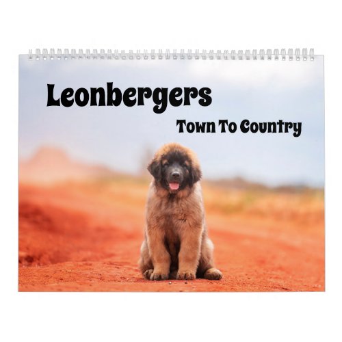 Town To Country Leonbergers Calendar