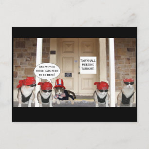 TOWNHALL MEETING POSTCARD