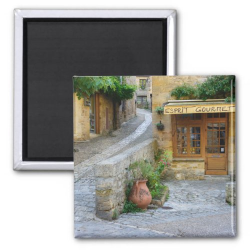 Townscape in Dordogne France magnet