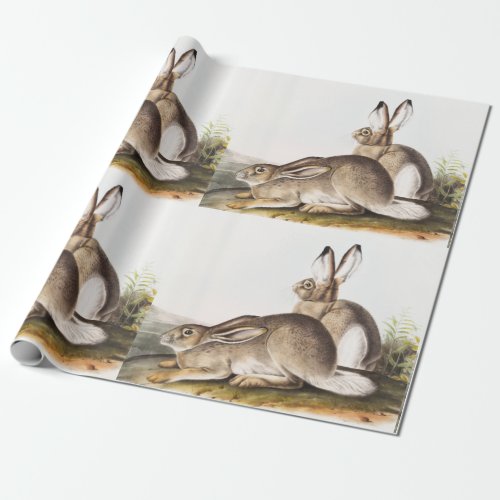 Townsends Rocky Mountain Hare Lepus Townsendii Wrapping Paper