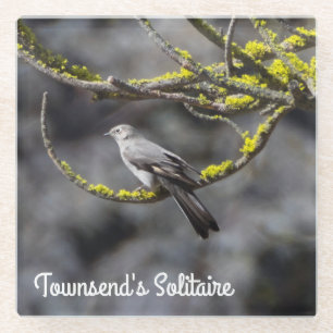 Townsend's Solitaire Glass Coaster