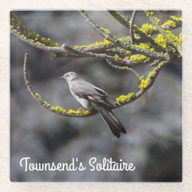 Townsend's Solitaire Glass Coaster (Front)