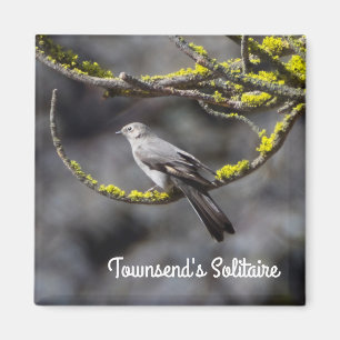 Townsend's Solitaire Magnet