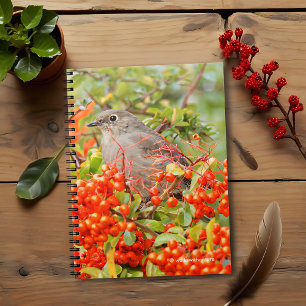 Townsend's Solitaire on the Pyracantha Notebook