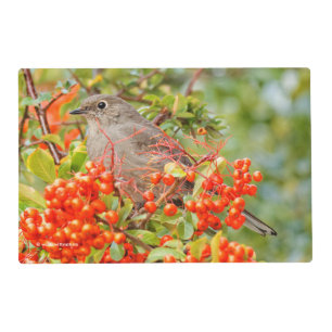 Townsend's Solitaire on the Pyracantha Placemat