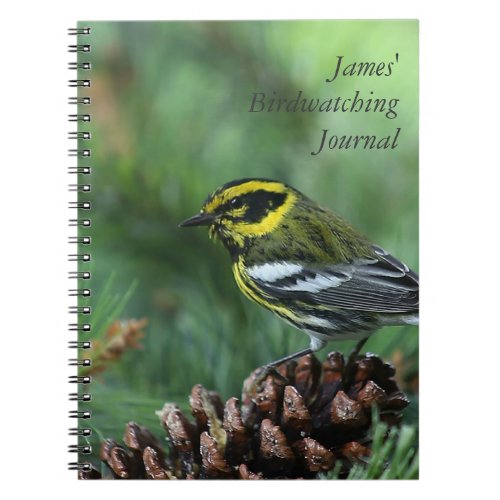 Townsends warbler birdwatching journal
