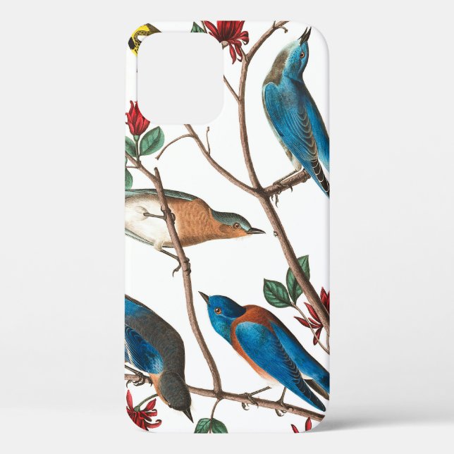 Townsends Warbler by John James Audubon Case-Mate iPhone Case (Back)