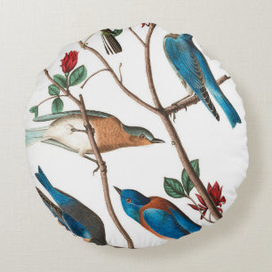 Townsends Warbler by John James Audubon Round Pillow