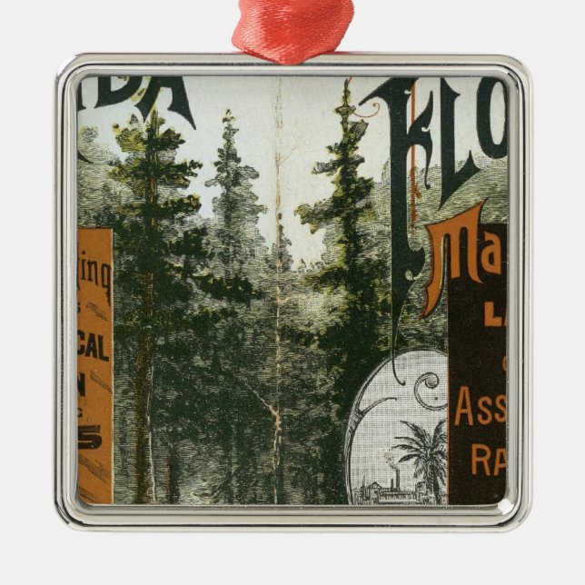 Township Map, Florida Metal Ornament (Front)