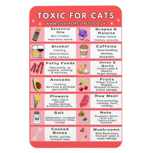 Toxic Food for Cats Fridge Magnet
