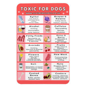 Toxic Foods for Dogs Fridge Magnet