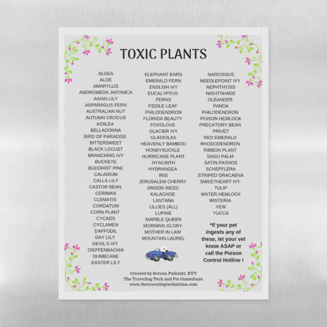 TOXIC PLANTS PETS DRY ERASE SHEET Zazzle