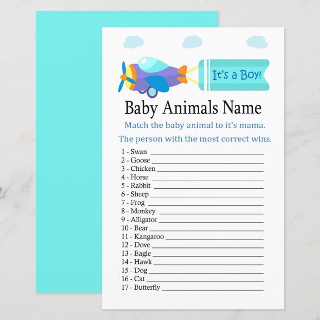 Toy Aircraft Baby Animals Name Game (Front/Back)