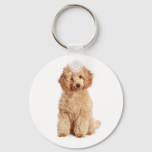 Toy Apricot Poodle Puppy Love Dog Key Chain (Front)