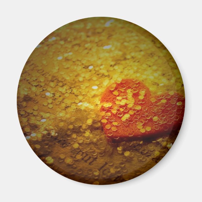 Toy Camera Heart Magnet (Front)