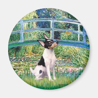 Toy Fox Terrier - Bridge Magnet