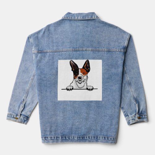 Toy fox terrier_  denim jacket