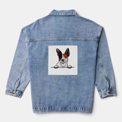 Toy fox terrier_  denim jacket