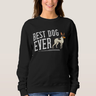 Toy Fox Terrier Dog Puppies Owner Sweatshirt