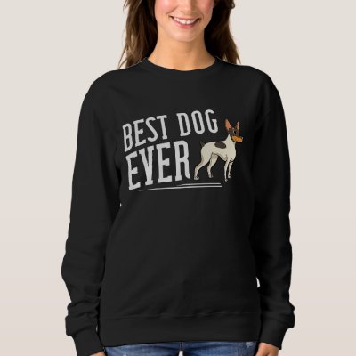 Toy Fox Terrier Dog Puppies Owner Sweatshirt